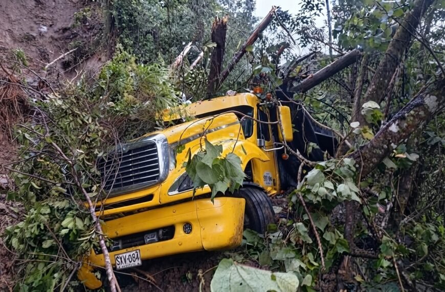 Avalancha alcanza vehículos que esperaban&hellip;