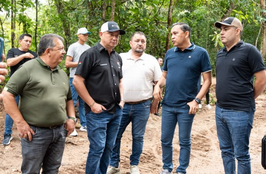 Más de $11.000 millones para dos urgencias de Tame