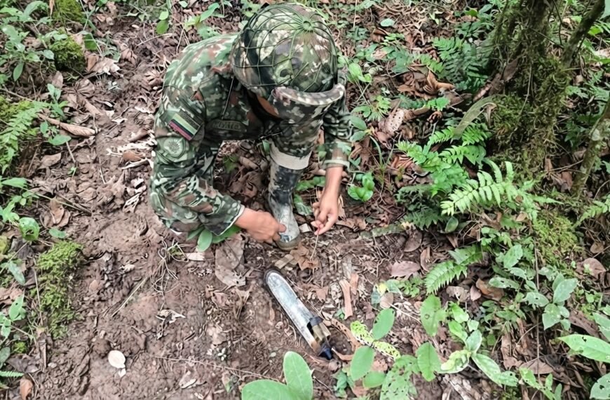 Cuatro explosivos fueron destruidos junto a un camino usado por campesinos y niños en Puerto Rondón