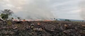 Fuego en la Sábana de la Vieja pusieron&hellip;