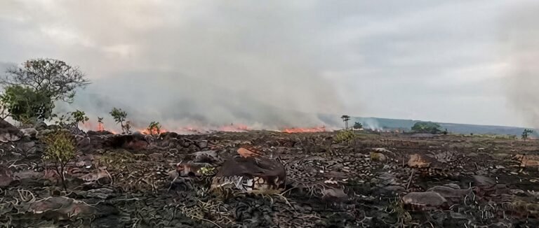 Fuego en la Sábana de la Vieja pusieron a prueba a los bomberos de Tame