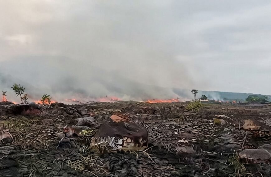 Fuego en la Sábana de la Vieja pusieron a prueba a los bomberos de Tame